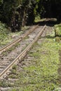 Train Track Dark Forest Royalty Free Stock Photo