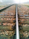 Train track into the fog Royalty Free Stock Photo