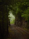 Train track heading from tunnel of dark vegetation into the light and open Royalty Free Stock Photo