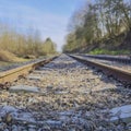 Train track from a lower perspective observing the rails, the sleepers and small stones with dry twigs, losing themselves on the h