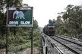 A train track within the forest. Royalty Free Stock Photo