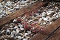 Train track wood planks close up