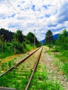 Train Tracks Through the Alps