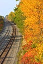 Train Tracks in Autumn Royalty Free Stock Photo