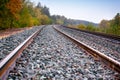 Train tracks in autumn forest Royalty Free Stock Photo