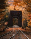 Train tracks in an autumn forest in the White Mountains of New Hampshire, USA. Royalty Free Stock Photo