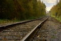 Train Tracks and Autumn Leaves Royalty Free Stock Photo