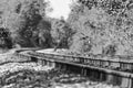 Train tracks in a black and white autumn landscape Royalty Free Stock Photo