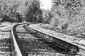 Train tracks in a black and white autumn landscape