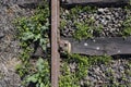 Train Tracks Detail from Above. Close up Royalty Free Stock Photo