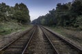 Train tracks disappearing into horizon