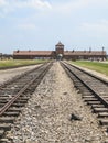 Train tracks at the entrance of Auschwitz Royalty Free Stock Photo