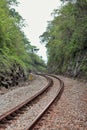 Train tracks flanked by two cliffs and dense forest Royalty Free Stock Photo