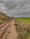 View of train tracks in the forest Royalty Free Stock Photo