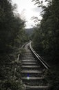 Train tracks in the forest Royalty Free Stock Photo