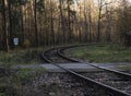 Train tracks in the forest. A turn with a large amplitude.