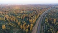 Train tracks through German forest Royalty Free Stock Photo