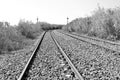 Train tracks Royalty Free Stock Photo