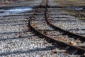 Train Tracks in Late Autumn Royalty Free Stock Photo