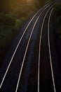 Train tracks lit up in the sun