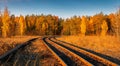 train tracks in the middle of a forest in high resolution Royalty Free Stock Photo