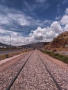 train tracks with nearby bushes Royalty Free Stock Photo