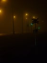 Train tracks next to a road surrounded by darkness