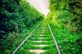 Train tracks overgrown with grass and plant Royalty Free Stock Photo