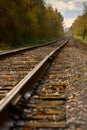 Train Tracks and Autumn Leaves vertical Royalty Free Stock Photo