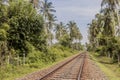 Train tracks in Sri Lanka. Tropical landscape Royalty Free Stock Photo
