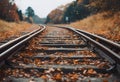 the train tracks are surrounded by leaves and grasses on an autumn day Royalty Free Stock Photo