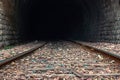 Train tracks and a tunnel Royalty Free Stock Photo