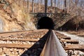 Train tracks and tunnel Royalty Free Stock Photo