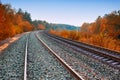 Train tracks view with autumn forest Royalty Free Stock Photo