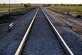 Train Tracks in the Wheatbelt Royalty Free Stock Photo