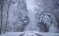 Train tracks in winter forest Royalty Free Stock Photo