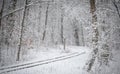 Train tracks in winter forest Royalty Free Stock Photo