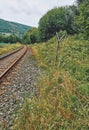 Train Trails and Trees in Olsberg Royalty Free Stock Photo