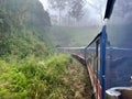 Train travel with cool nature relaxing scenery