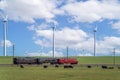 Train for travel wind power pland and caw farm in San francisco Royalty Free Stock Photo