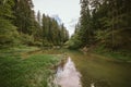 A train traveling down train tracks near a forest Royalty Free Stock Photo