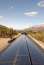 Train traveling through forest