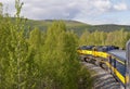 Train traveling through forest