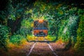 Train through the tree tunnel , Thai Railway Wongwain yai to Mahachai Line in Bangkok,Thailand Royalty Free Stock Photo