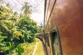 Train trip in Sri Lanka with beautiful views on palms