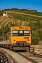 Train in vineyard Royalty Free Stock Photo