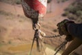 Trained crane rigger operator hand wearing safety hand glove holding blurry picture of crane lifting hook Royalty Free Stock Photo