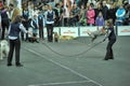 Trained dogs perform at the show