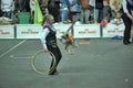 Trained dogs perform at the show with trainers