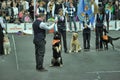 Trained dogs perform at the show